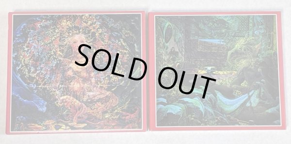 Photo3: LED ZEPPELIN - DIVINITY 2CD [OCEAN] ★★★STOCK ITEM / OUT OF PRINT / VERY RARE★★★ (3)