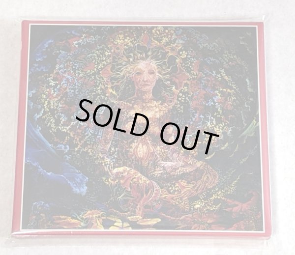Photo1: LED ZEPPELIN - DIVINITY 2CD [OCEAN] ★★★STOCK ITEM / OUT OF PRINT / VERY RARE★★★ (1)