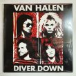 Photo1: VAN HALEN - UNRELEASED ALTERNATE “DIVER DOWN” ACETATE LP CD [EMPRESS VALLEY]  (1)