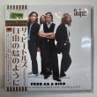 Photo5: THE BEATLES - FREE AS A BIRD + REAL LOVE - 24 track master tapes MASTER & SLAVE 8CD BOX [EMPRESS VALLEY] (5)