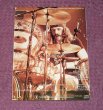 Photo2: LED ZEPPELIN - LIVE AT TRENTHAM GARDENS 2CD LONG BOX [EMPRESS VALLEY] ★★★STOCK ITEM / OUT OF PRINT ★★★ (2)